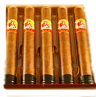 La Gloria Cubana Serie R En Crystale (5 Cigars Sampler)