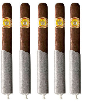 El Rey Del Mundo Rectangulare Maduro (5 Cigars Sampler)