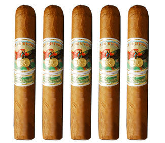 San Cristobal Elegancia Robusto (5 Cigars Sampler)