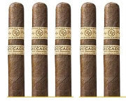 Rocky Patel Decade Lonsdale (5 Cigars Sampler)
