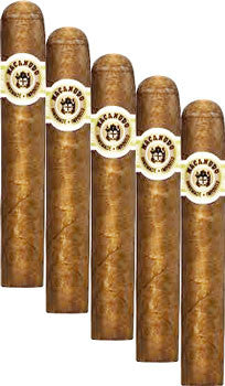 Macanudo Cafe Duke of York (5 Cigars Sampler)