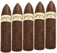 Nording Torpedo (5 Cigars Sampler)
