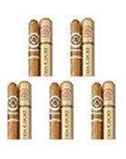Macanudo Gold Label Hampton Court (5 Cigars Sampler)