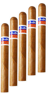 Flor De Oliva Churchill (5 Cigars Sampler)