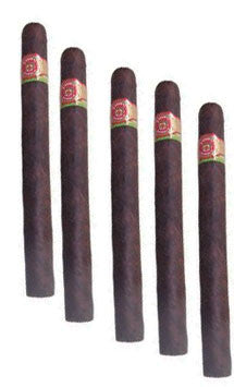 Arturo Fuente Canones Maduro (5 Cigars Sampler)