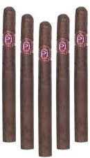 Cusano P1 Corona (5 Cigars Sampler)